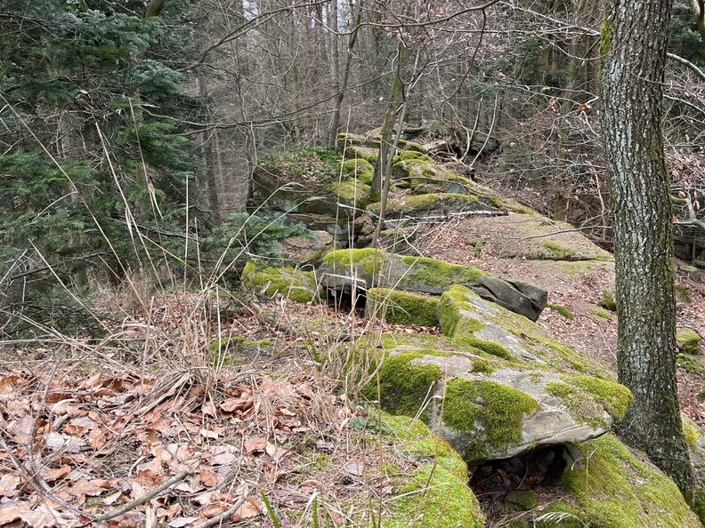 23-02-26 12-58-30 4354